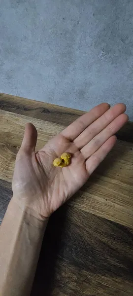 Elinde iki küçük mantar var.