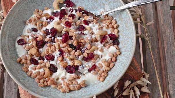 Homemade Breakfast Cereal Yogurt Puffed Oats Cashew Nuts Dried Cranberries — Stock video