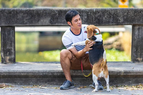 亚洲人在公园里晨练时 正在和他的小猎犬玩耍 — 图库照片