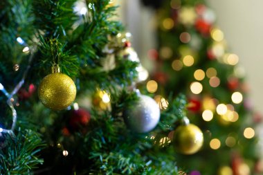 Noel ağacı, sezon kutlaması ve tasarım konsepti için bokeh ışık arka planına sahip.