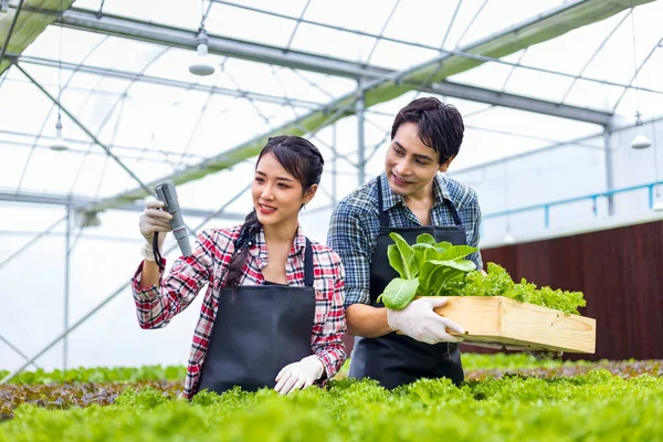 Los Agricultores Locales Asiáticos Revisan Valor Del Agua Mientras Cultivan —  Fotos de Stock