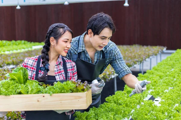 Agricoltori Locali Asiatici Controllano Valore Dell Acqua Mentre Coltivano Propria — Foto Stock