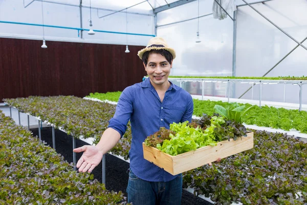 Asyalı çiftçi, serada kendi yeşil meşe salatalarını yetiştiriyor. Aile şirketleri için organik su sistemi yaklaşımını kullanıyor ve satmak için de biraz topluyor.