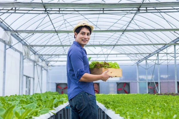 Asyalı çiftçi, serada kendi yeşil meşe salatalarını yetiştiriyor. Aile şirketleri için organik su sistemi yaklaşımını kullanıyor ve satmak için de biraz topluyor.