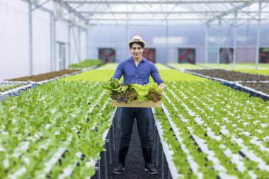 Asyalı çiftçi, serada kendi yeşil meşe salatalarını yetiştiriyor. Aile şirketleri için organik su sistemi yaklaşımını kullanıyor ve satmak için de biraz topluyor.