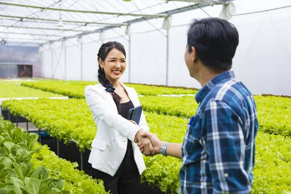 Handshaking Asian Farmer His New Local Business Entrepreneur His Hydroponics — Foto Stock