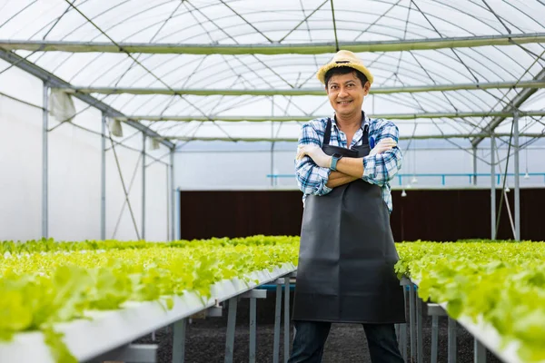 Mutlu Asyalı Çiftçi Serada Kendi Salata Salatalarını Yetiştirirken Aile Şirketleri — Stok fotoğraf