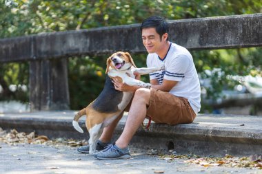 Asyalı adam parkta sabah egzersizi yaparken av köpeğiyle oynuyor.