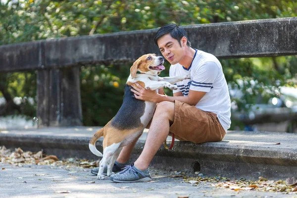 Asian man is playing with beagle dog while having morning exercise inside the park