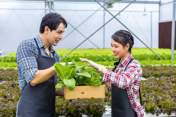 Ázsiai Helyi Gazdák Termesztenek Saját Zöld Tölgysaláta Saláta Üvegházban Hidroponikus — Stock Fotó