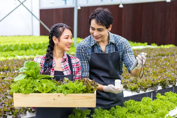 Asian Local Farmers Checking Water Value While Growing Own Green — Stock Photo, Image