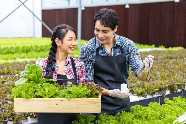 Agricoltori Locali Asiatici Controllano Valore Dell Acqua Mentre Coltivano Propria — Foto Stock