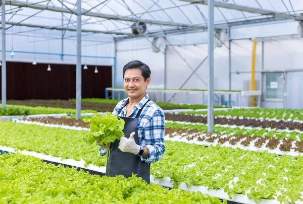 Šťastný Asijský Místní Farmář Pěstující Vlastní Salát Salát Skleníku Pomocí — Stock fotografie
