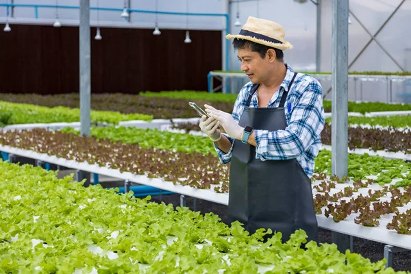 Happy Asijské Místní Farmář Pomocí Smartphone Pro Nové Technologie Aplikace — Stock fotografie