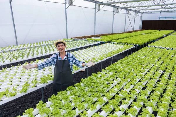 Šťastný Asijský Místní Farmář Pěstující Vlastní Salát Salát Skleníku Pomocí — Stock fotografie