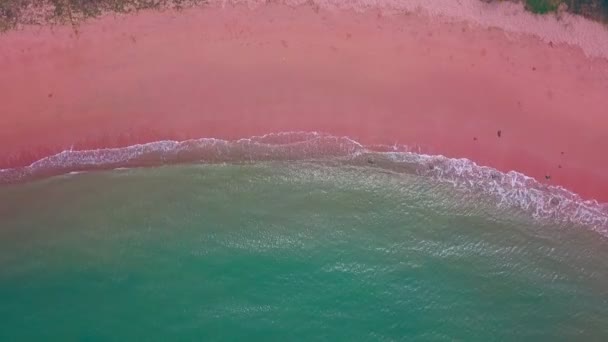 Aerial view of pink sand beach with deep blue sea color and white crashing wave in summer with copy space for travel and vacation concept — Stock Video