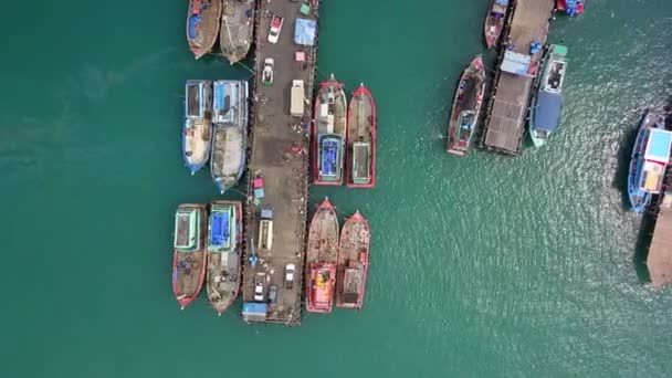 Flygfoto av fiskare brygga som har många fiskefartyg förankring för transport skaldjur och leveranser inåt landet — Stockvideo
