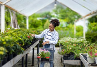 Young African customer is choosing exotic plant from the local garden center nursery with shopping cart full of summer plant for weekend gardening and outdoor concept