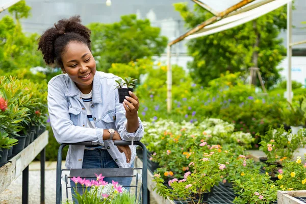 Young African Customer Choosing Exotic Plant Local Garden Center Nursery — Stock Fotó