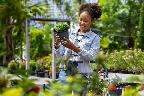 Young African Customer Choosing Exotic Plant Local Garden Center Nursery — Stock Fotó