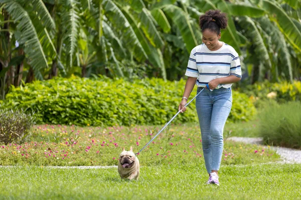 African American Woman Walking Her French Bulldog Puppy Dog Park — 图库照片
