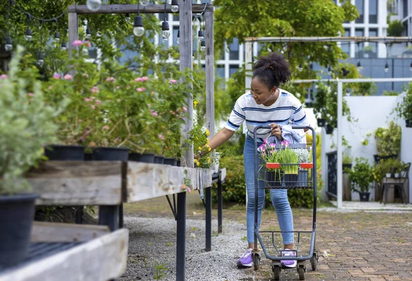 Young African Customer Choosing Exotic Plants Local Garden Center Nursery — Stock Fotó