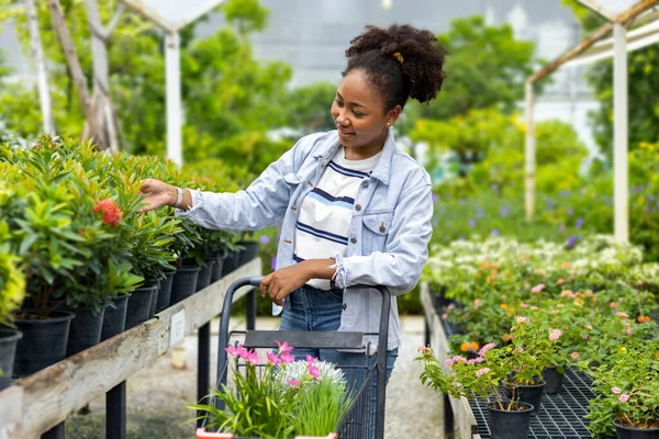 Young African Customer Choosing Exotic Plants Local Garden Center Nursery — Stock Fotó