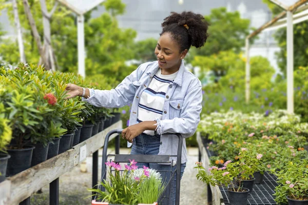 Young African customer is choosing exotic plants from the local garden center nursery with shopping cart full of summer plant for weekend gardening and outdoor pursuit