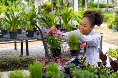 Young African customer is choosing exotic plant from the local garden center nursery with shopping cart full of summer plant for weekend gardening and outdoor pursuit concept