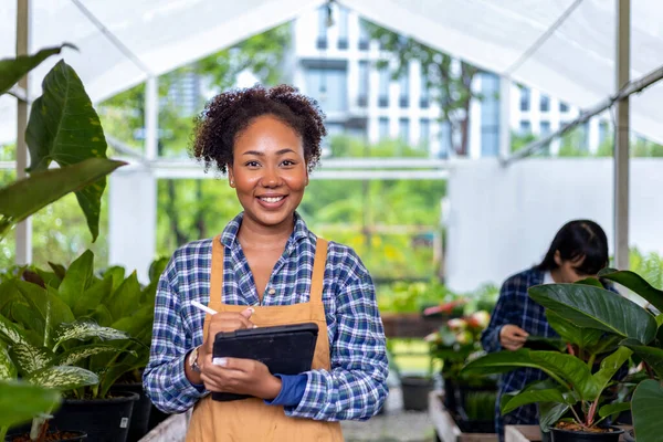 African American Gardener Using Digital Tablet While Working Her Nursery — Stock Fotó