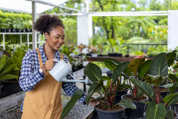 African American Gardener Using Watering Can Feed Her Houseplant Her — стоковое фото