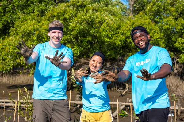 Team of young and diversity volunteer worker group enjoy charitable social work outdoor in mangrove planting NGO work for fighting climate change and global warming in coastline habitat