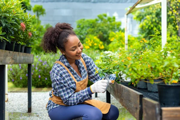 African American Gardener Deadheading Her Flower Plant Nursery Garden Center — Stock fotografie