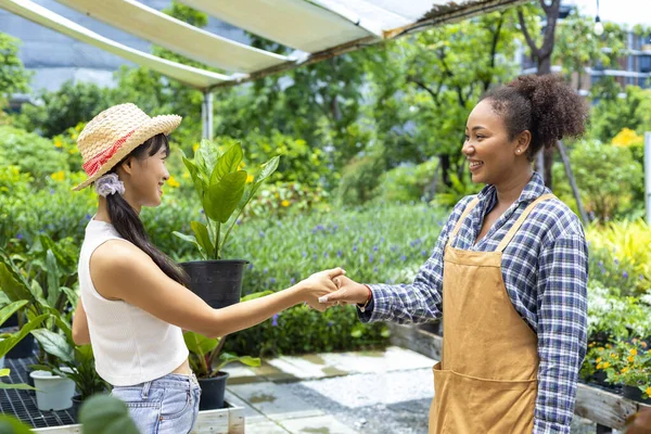 Asian Customer Having Handshake African Owner Exotic Plant Local Garden — Stock Fotó
