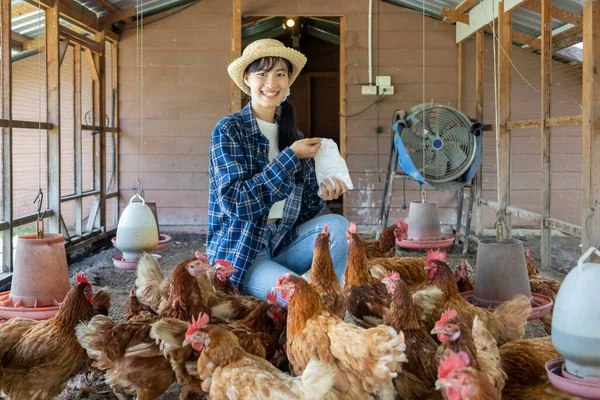 Asian Woman Farmer Feeding Her Free Range Chicken Hen House —  Fotos de Stock