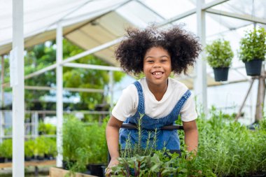 Portrait of African kid is choosing vegetable and herb plant from the local garden center nursery with shopping cart full of summer plant for weekend gardening and outdoor