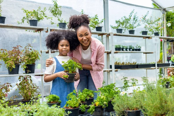 Portrait African Mother Daughter Choosing Parsley Vegetable Herb Plant Section — Stock Fotó
