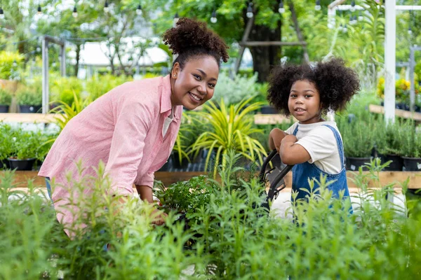 African Mother Daughter Choosing Vegetable Herb Plant Local Garden Center — Stok fotoğraf