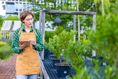 Caucasian gardener holding digital tablet while working in her conifer tree nursery garden center for evergreen and bonsai artist supply concept