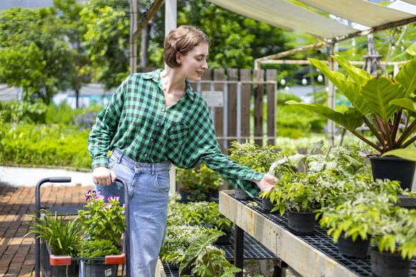 Young Caucasian Customer Choosing Exotic Plant Local Garden Center Nursery — Stock Fotó