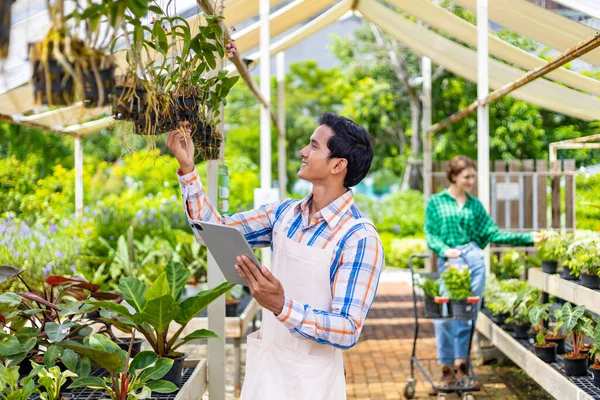 Fiatal Ázsiai Kerttulajdonos Ellenőrzi Lógó Orchidea Növény Kertjében Óvoda Custormer — Stock Fotó