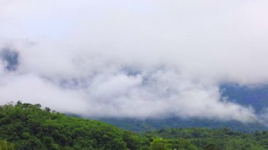 Tayland 'daki Khao Yai Ulusal Parkı' ndaki dağ vadisinden akan sis.