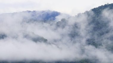Tayland 'daki Khao Yai Ulusal Parkı' ndaki dağ vadisinden akan sis.