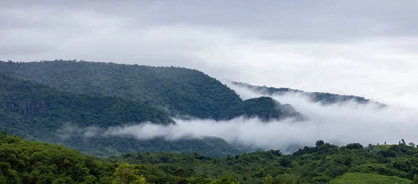 Ομίχλη Ρέει Μέσα Khaoyai Εθνικό Πάρκο Κοιλάδα Του Βουνού Φως — Φωτογραφία Αρχείου