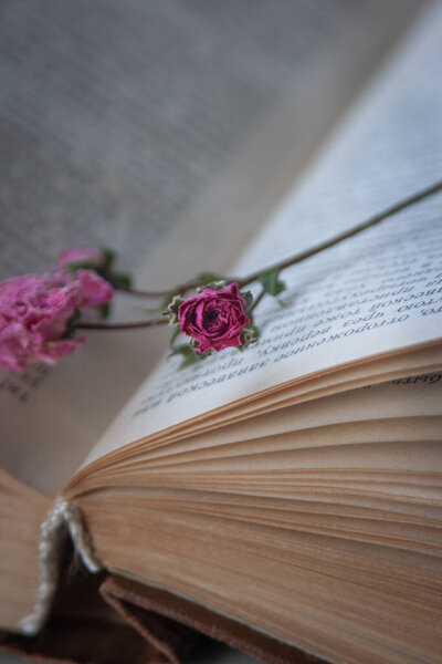 In the photo there is a book with small dried roses