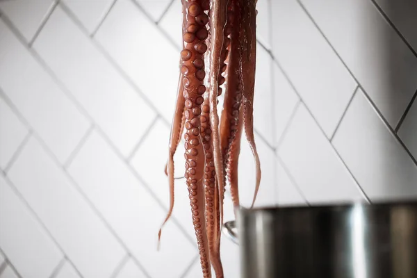 Opknoping Rauwe Octopus Restaurant Keuken Klaar Koken — Stockfoto