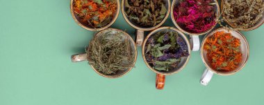 Nane yeşili arka planda renkli fincanlarda kurutulmuş gevşetici çay otları. Calendula, nane, anason hyssop, monarda didyma, pelin otu, adaçayı yaprakları..