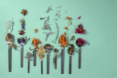 Nane yeşili arka planda kaşık içinde kurutulmuş çay otları. Calendula, nane, anason hyssop, monarda didyma, pelin otu, adaçayı yaprakları..