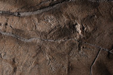 Çatlaklı ve kusurlu kahverengi desenli kil duvar tasarımı. Çağdaş iç mekanlarda duvar tasarımı fikirleri.