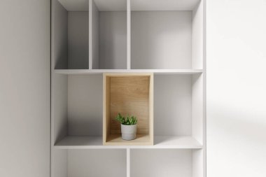 Minimalist tasarımlı açık gri kitaplık içinde gri saksıda küçük bitkiler var.